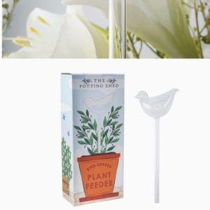 Indoor plant feeder- slow release watering